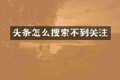 头条怎么搜索不到关注