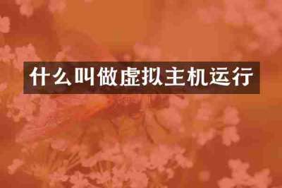 什么叫做虚拟主机运行