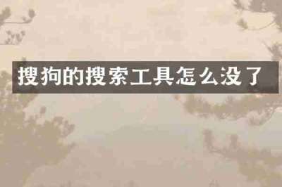 搜狗的搜索工具怎么没了