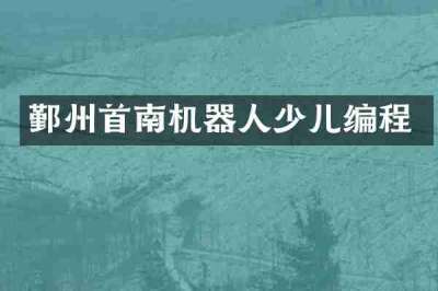 鄞州首南机器人少儿编程