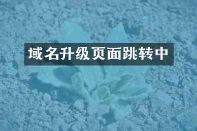 域名升级页面跳转中