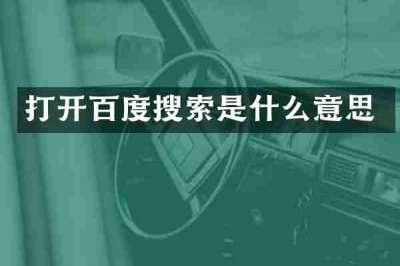 打开百度搜索是什么意思