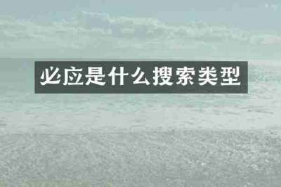 必应是什么搜索类型