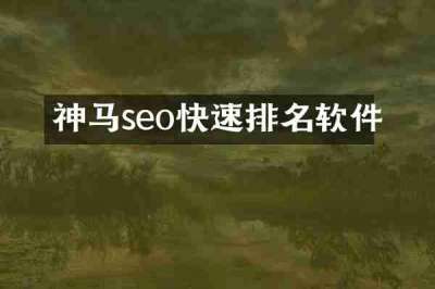 神马seo快速排名软件
