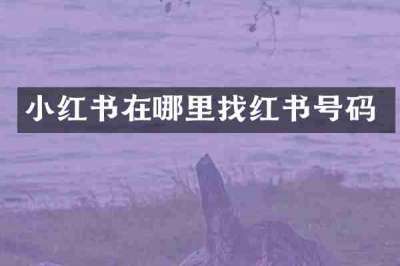 小红书在哪里找红书号码