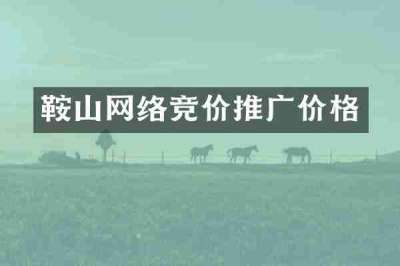 鞍山网络竞价推广价格