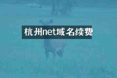 杭州net域名续费