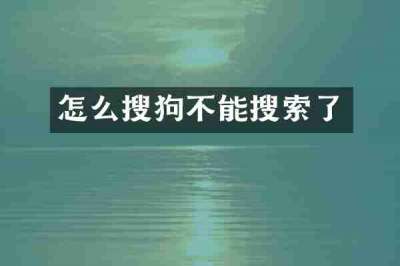 怎么搜狗不能搜索了
