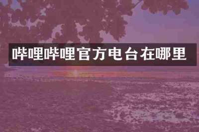 哔哩哔哩官方电台在哪里