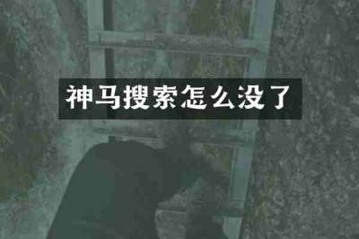神马搜索怎么没了