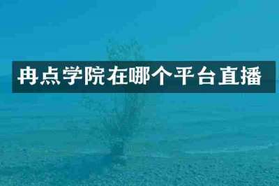 冉点学院在哪个平台直播