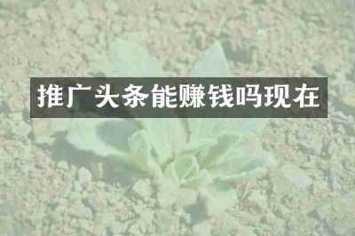 推广头条能赚钱吗现在