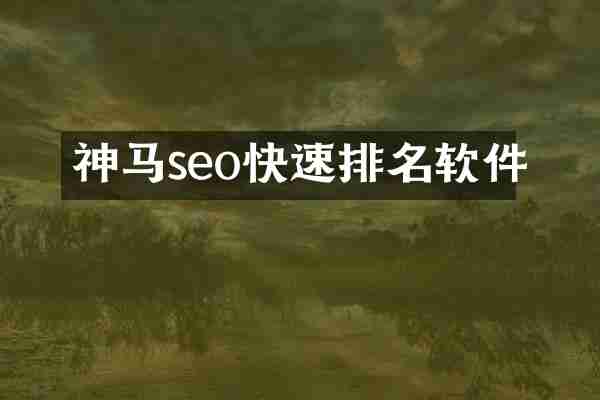 神马seo快速排名软件