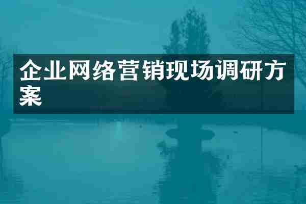 企业网络营销现场调研方案