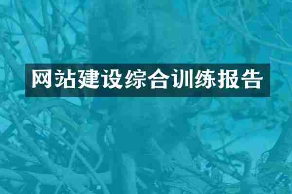 网站建设综合训练报告