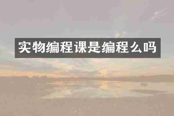 实物编程课是编程么吗