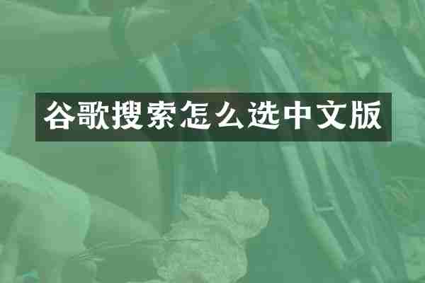谷歌搜索怎么选中文版