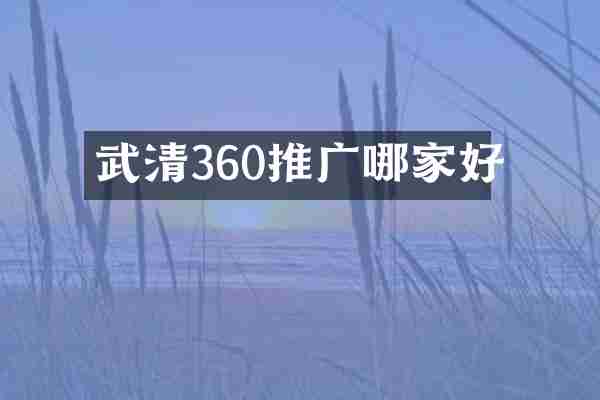 武清360推广哪家好