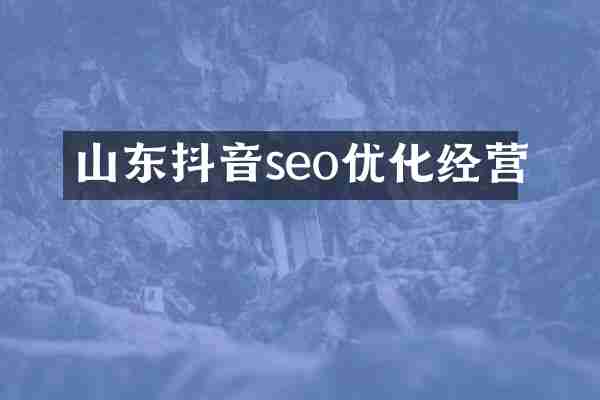 山东抖音seo优化经营