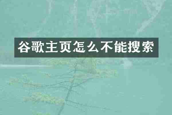 谷歌主页怎么不能搜索