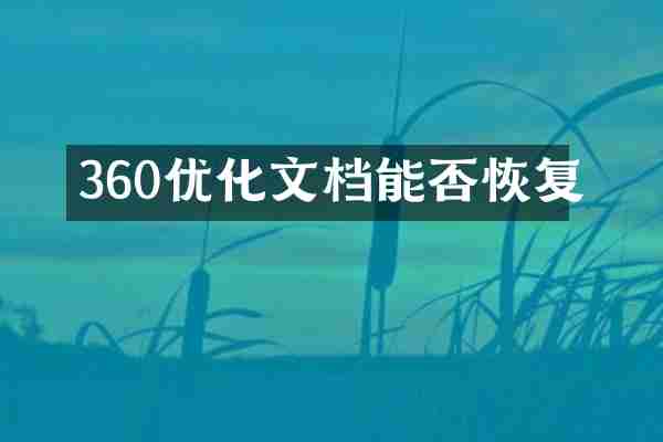360优化文档能否恢复