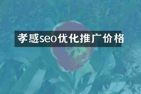 孝感seo优化推广价格