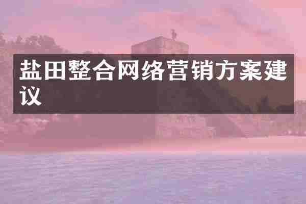 盐田整合网络营销方案建议