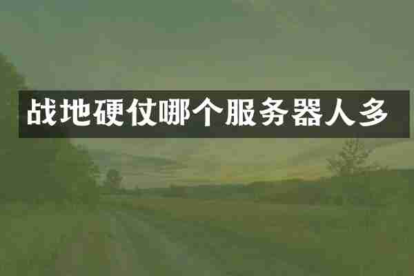 战地硬仗哪个服务器人多