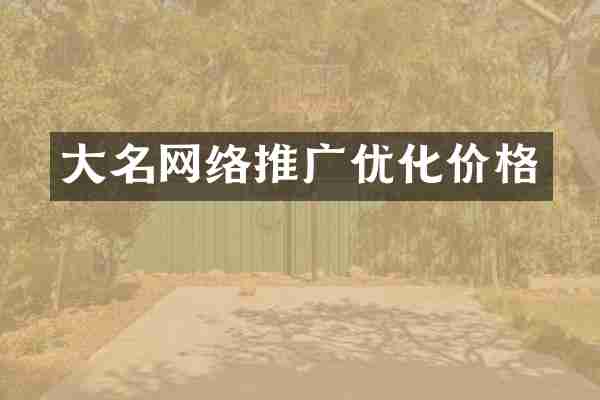大名网络推广优化价格