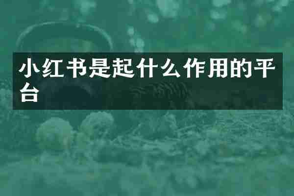 小红书是起什么作用的平台