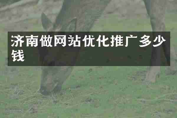 济南做网站优化推广多少钱
