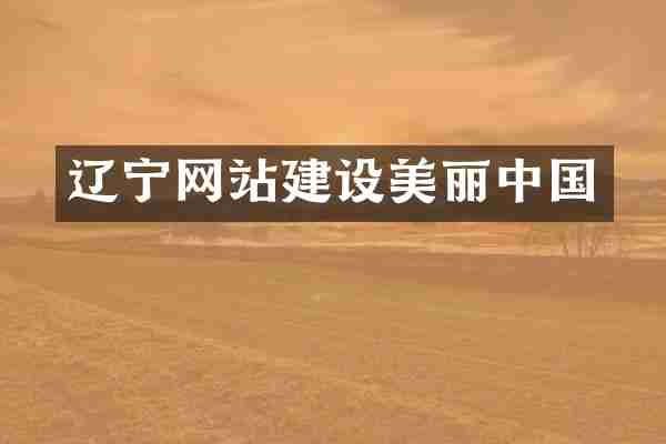 辽宁网站建设美丽中国