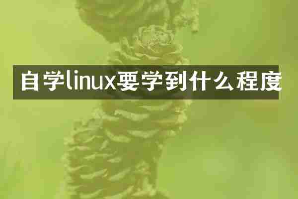 自学linux要学到什么程度