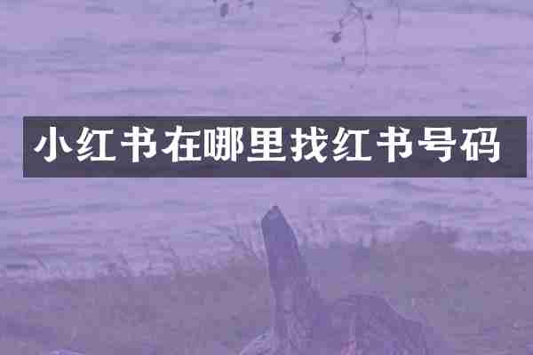 小红书在哪里找红书号码
