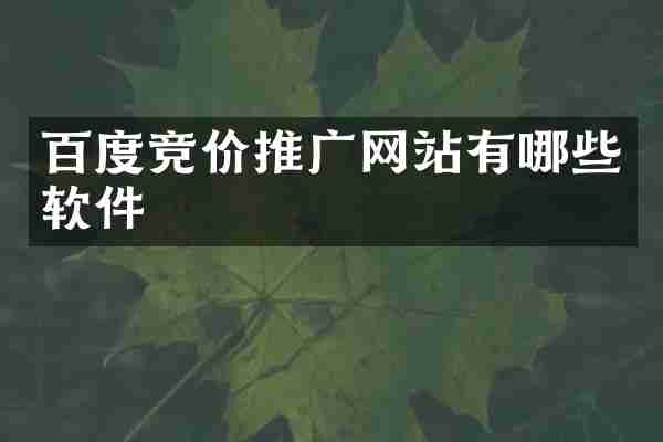 百度竞价推广网站有哪些软件