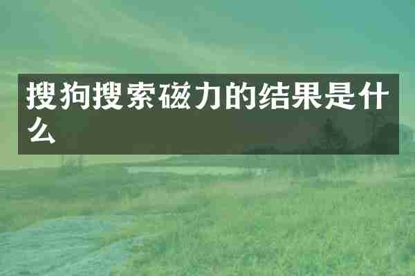 搜狗搜索磁力的结果是什么