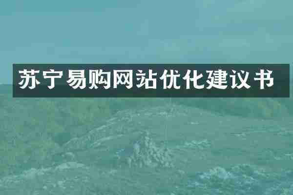苏宁易购网站优化建议书