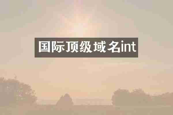 国际顶级域名int