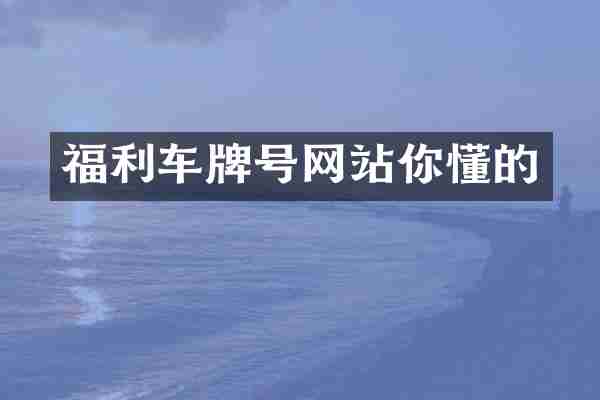 福利车牌号网站你懂的
