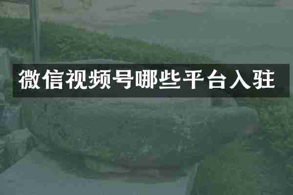 微信视频号哪些平台入驻