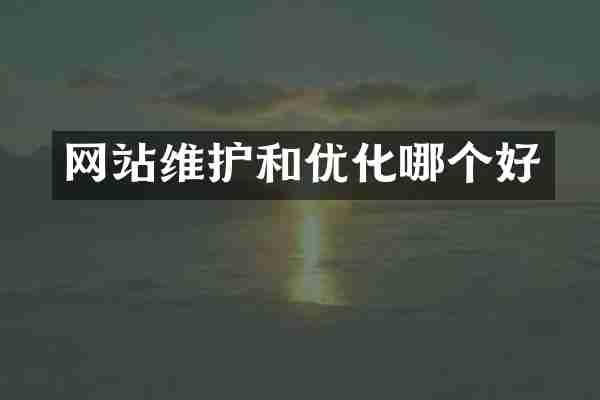 网站维护和优化哪个好