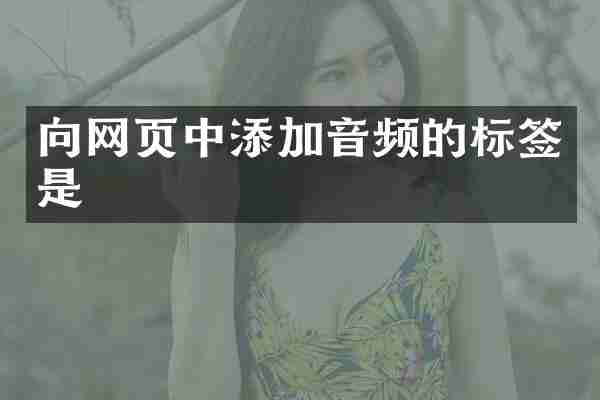 向网页中添加音频的标签是