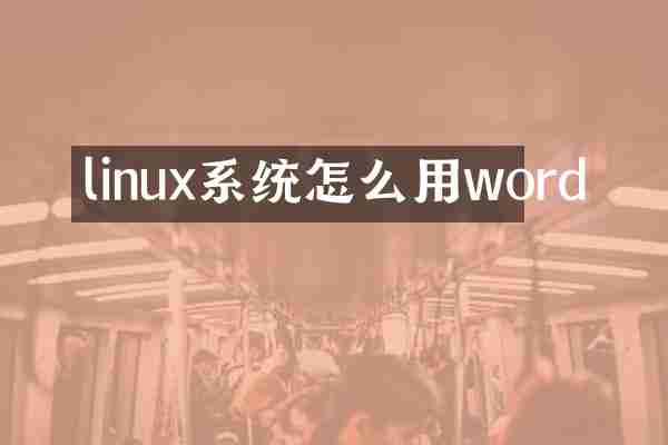 linux系统怎么用word