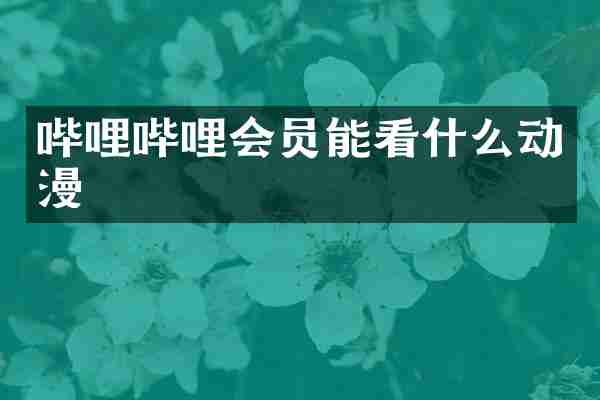哔哩哔哩会员能看什么动漫