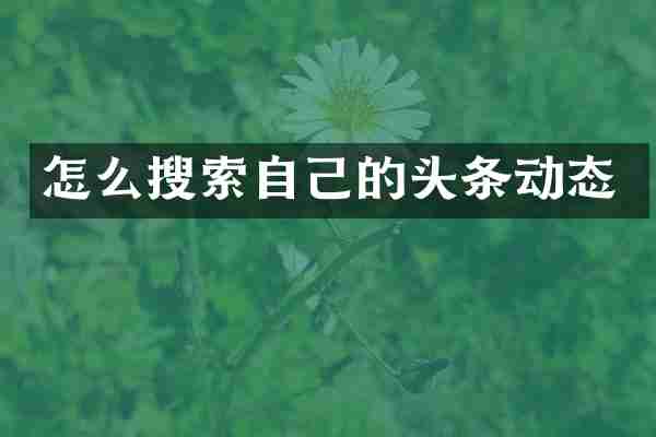 怎么搜索自己的头条动态