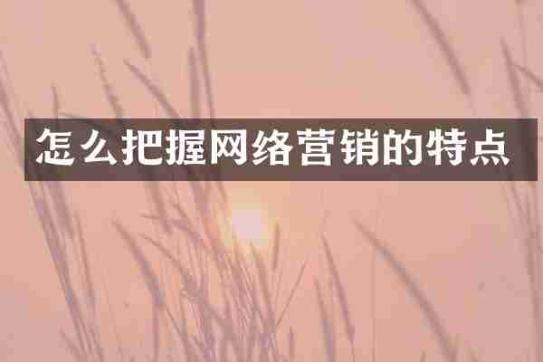 怎么把握网络营销的特点