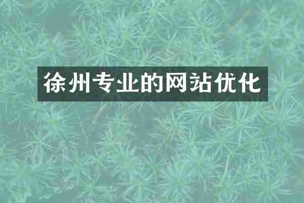 徐州专业的网站优化