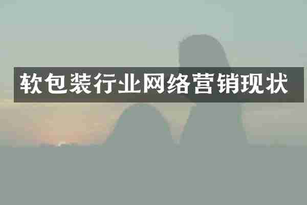 软包装行业网络营销现状