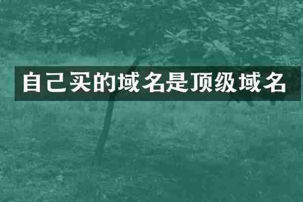 自己买的域名是顶级域名