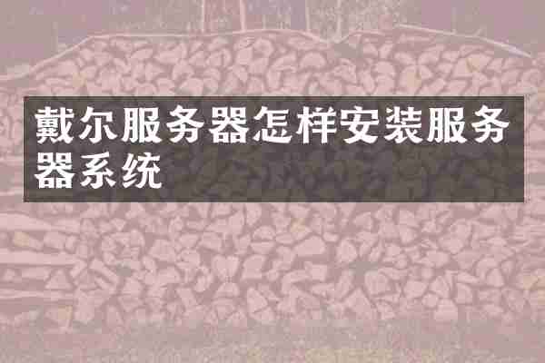 戴尔服务器怎样安装服务器系统